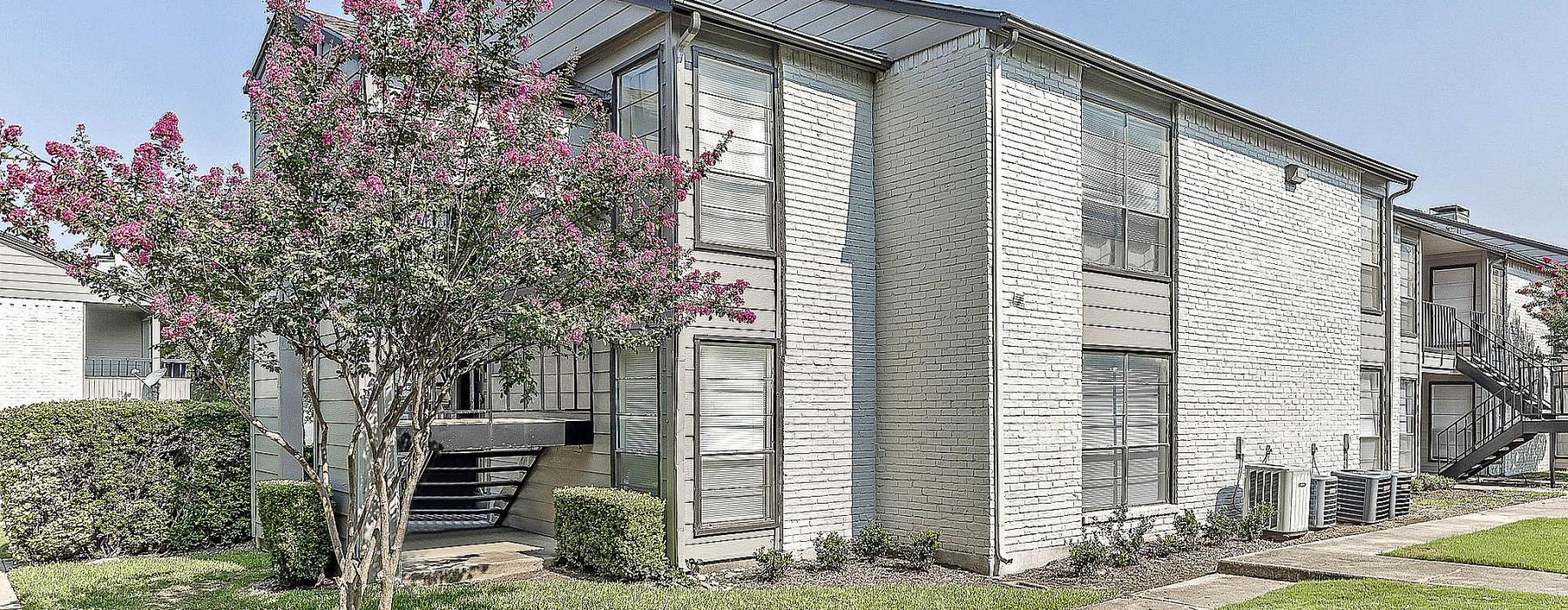 a house with a tree in the front