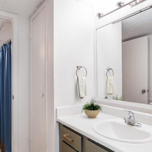 Bathroom options with thoughtful details a bathroom with a sink and a mirror